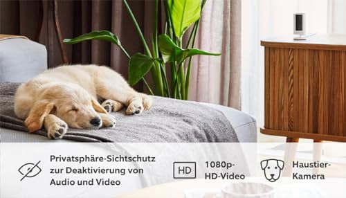 Ring Innenkamera (Indoor Camera 2. Gen.) | Überwachungskamera für den Innenbereich | 1080p-HD-Video, Privatsphäre-Sichtschutz, WLAN, ideal für Haustiere | Mini Sicherheitskamera zur Selbstinstallation